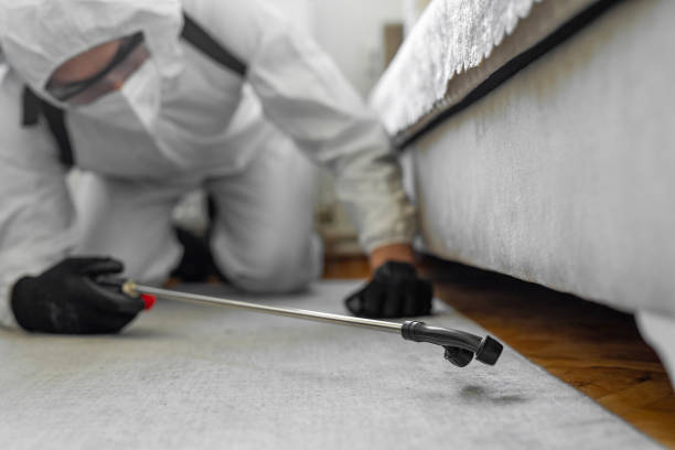 Professional Ant Control technician working in Copeland, OK